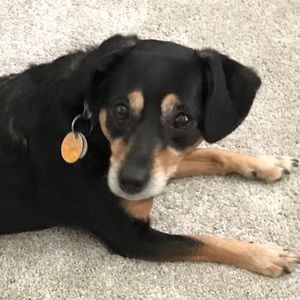 Meet your Posher, Patrick